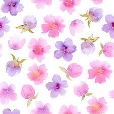 Obituario de Jacqueline Ann Quinn