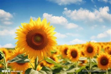Obituary of Margaret Elizabeth Nelson