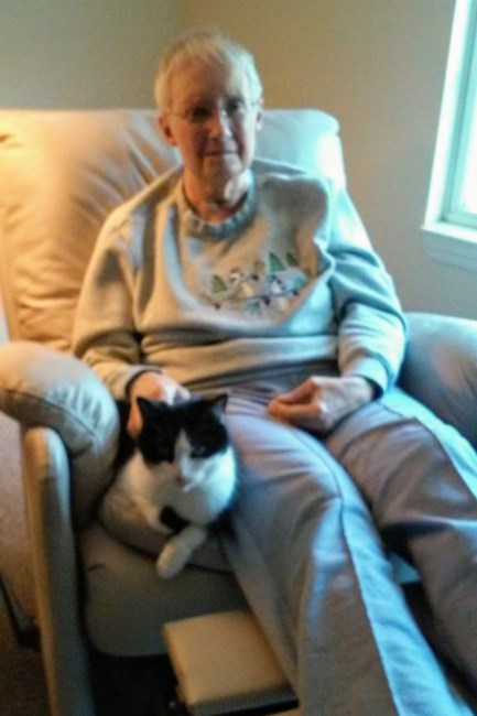 obituary image