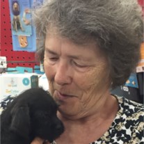 Obituary of Janet Kathy Hayes