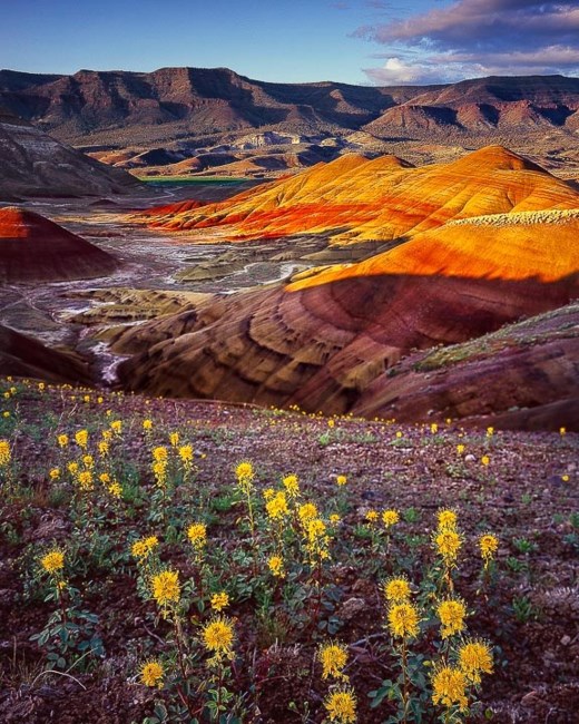 Obituary of Louis Bacon