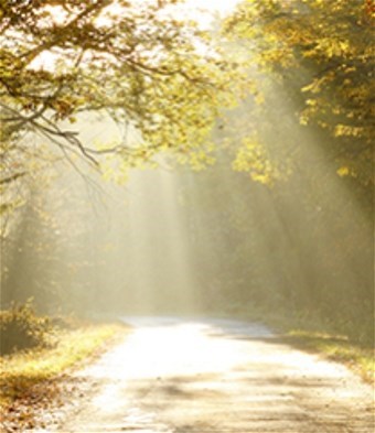 Obituary of Endrique A. Impasias