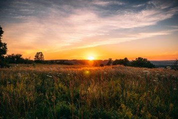Obituary of Rose Margaret Murowski