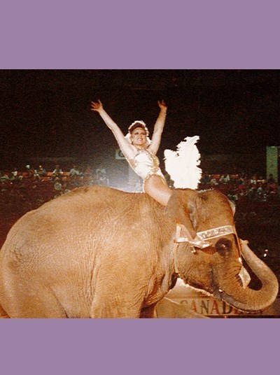 Obituary of Kimberly Alice Day