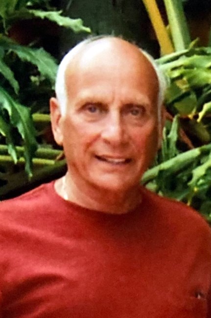 Obituary of Patsy Coppola