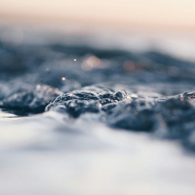 Avis de décès de William Ghoucassian