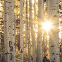 Obituary of Kevin Paul Paquette