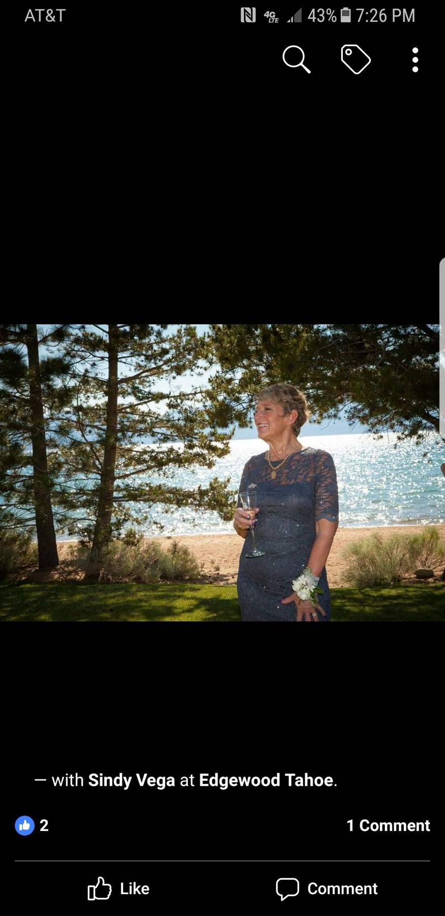 Obituary of Cynthia Ann Vega