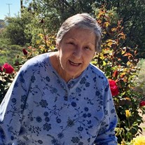 Obituary of Virginia Ann Dineen