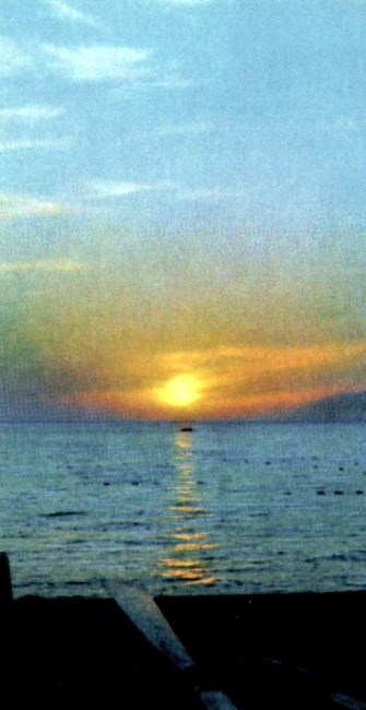 Obituary of Jill Castillo