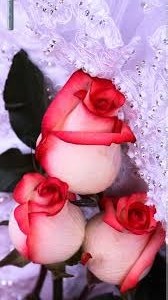 Obituary of Kathy Tate-Franklin