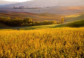 Obituary of Jono Alexander Stuart