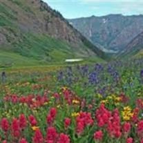 Obituary of Brent James Lewis