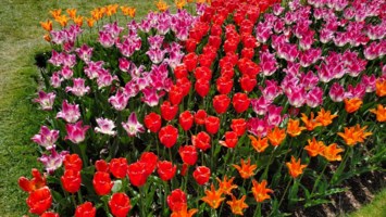 Obituary of Sharimae Prince