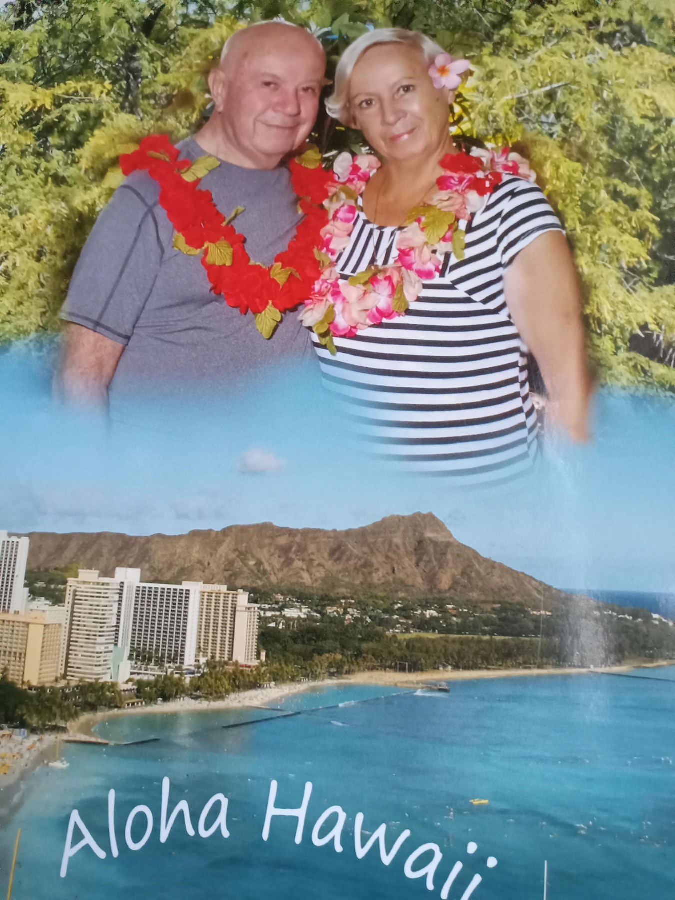 Obituary of Michael Crane