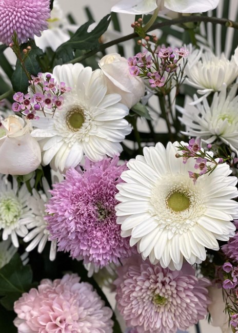 Obituary of Marilyn Elizabeth Cassady