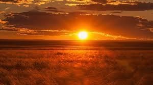 Obituary of Marilyn E. Olson