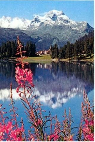 Obituary of Maria Laura Hernandez