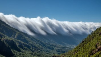 Obituary of Kevin Charles Clark