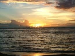 Obituary of Diana Gale Clark