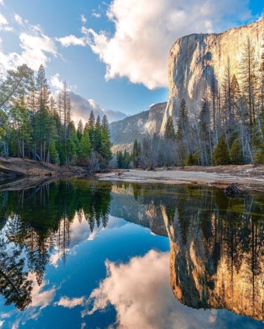 Obituary of Richard James Bell