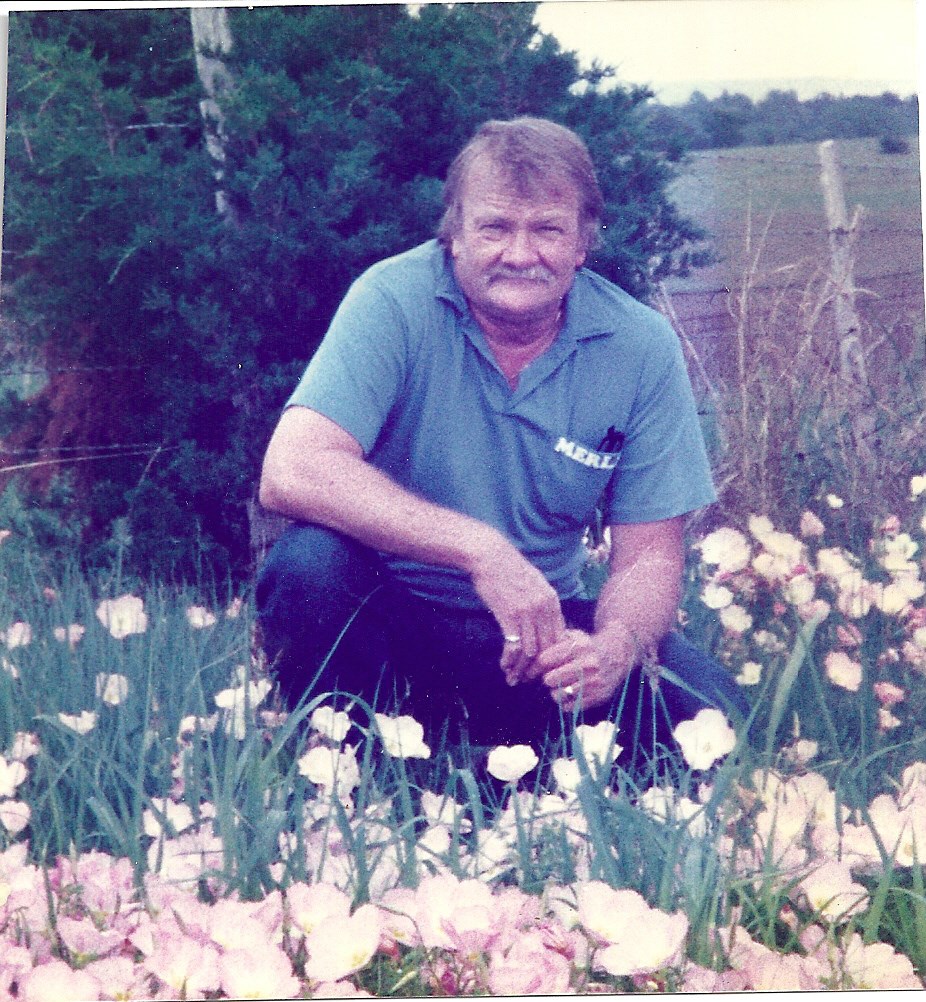 Obituary of Merle Lee Goff