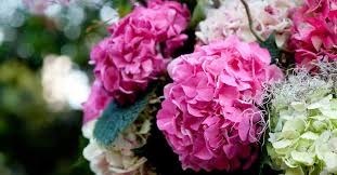 Obituary of Gloria Allen Mueller