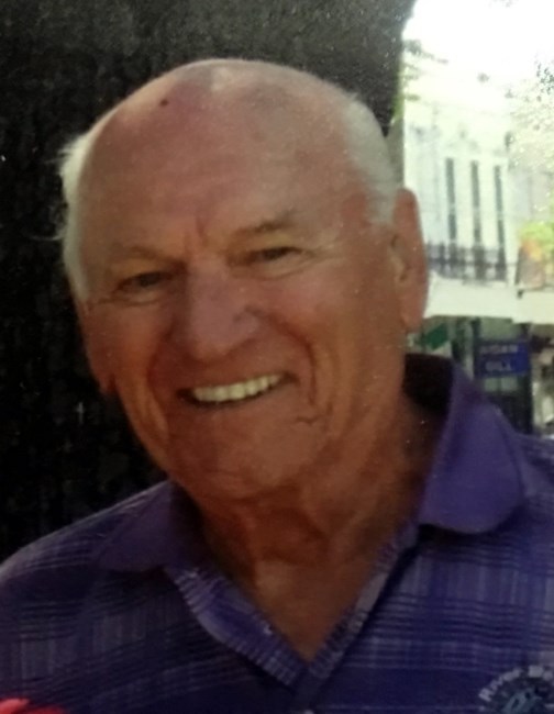 Obituary of Roy D. Domingus