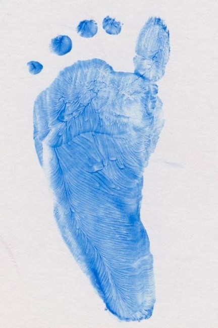 Obituary of Jael Carroll Powell-Smith