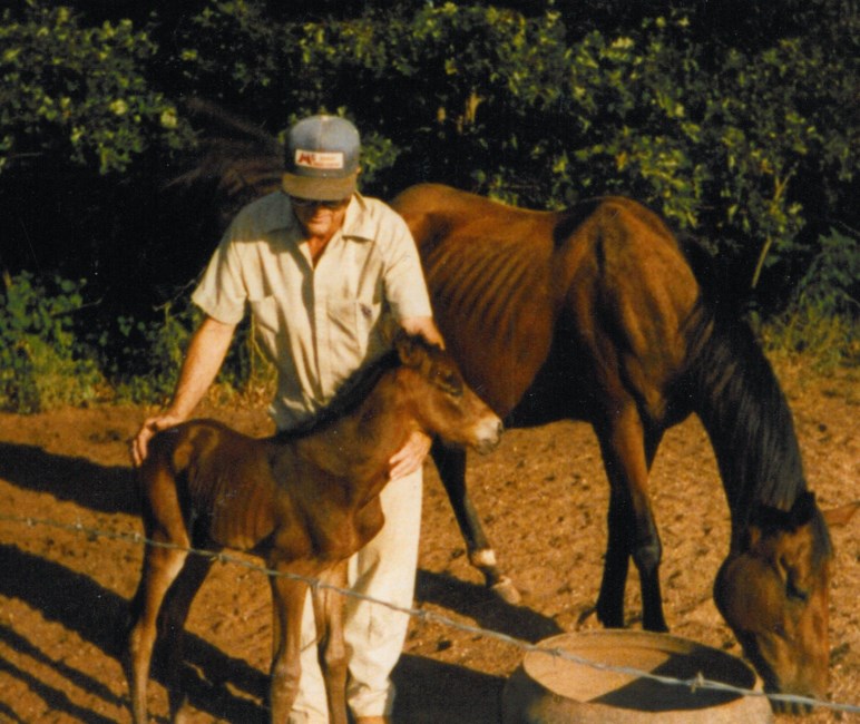 Obituary of John Doyle Johnson