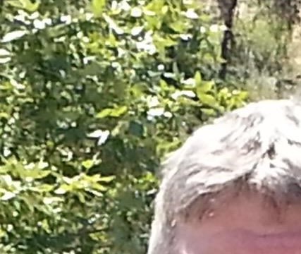 Patrick Rogan's Instagram, Twitter & Facebook on IDCrawl