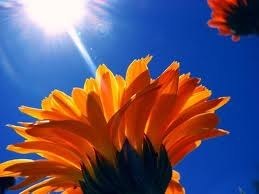 Obituary of Ralph Carl Butterfield