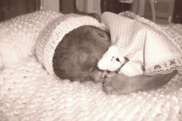 Obituary of Averian Kenneth Sheetz