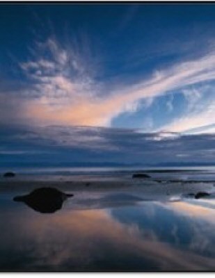 Obituary of Henry Dale Kailianu Alau