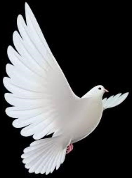 Obituary of Marjory Carolyn Preston