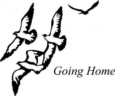 Obituary of Delane   Sonnenburg