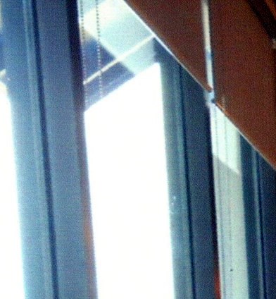 Pastor William Riley Obituary - Tampa, FL