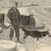 Obituary of William Van Meter