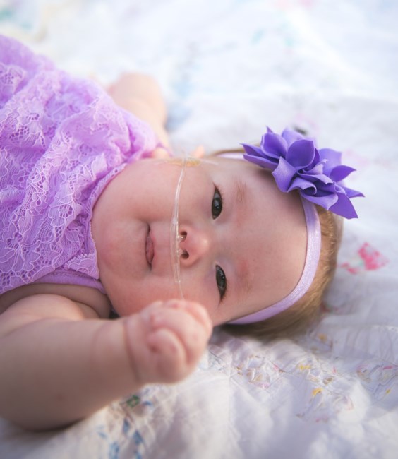 Obituary of Addison Grace Petracca