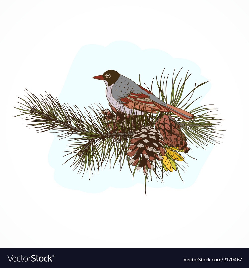 Obituary of Craig D Rockwell