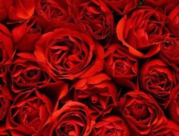 Obituary of David Lee Owens