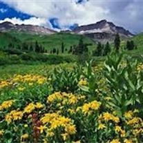 Obituary of Rayma Jean Taylor