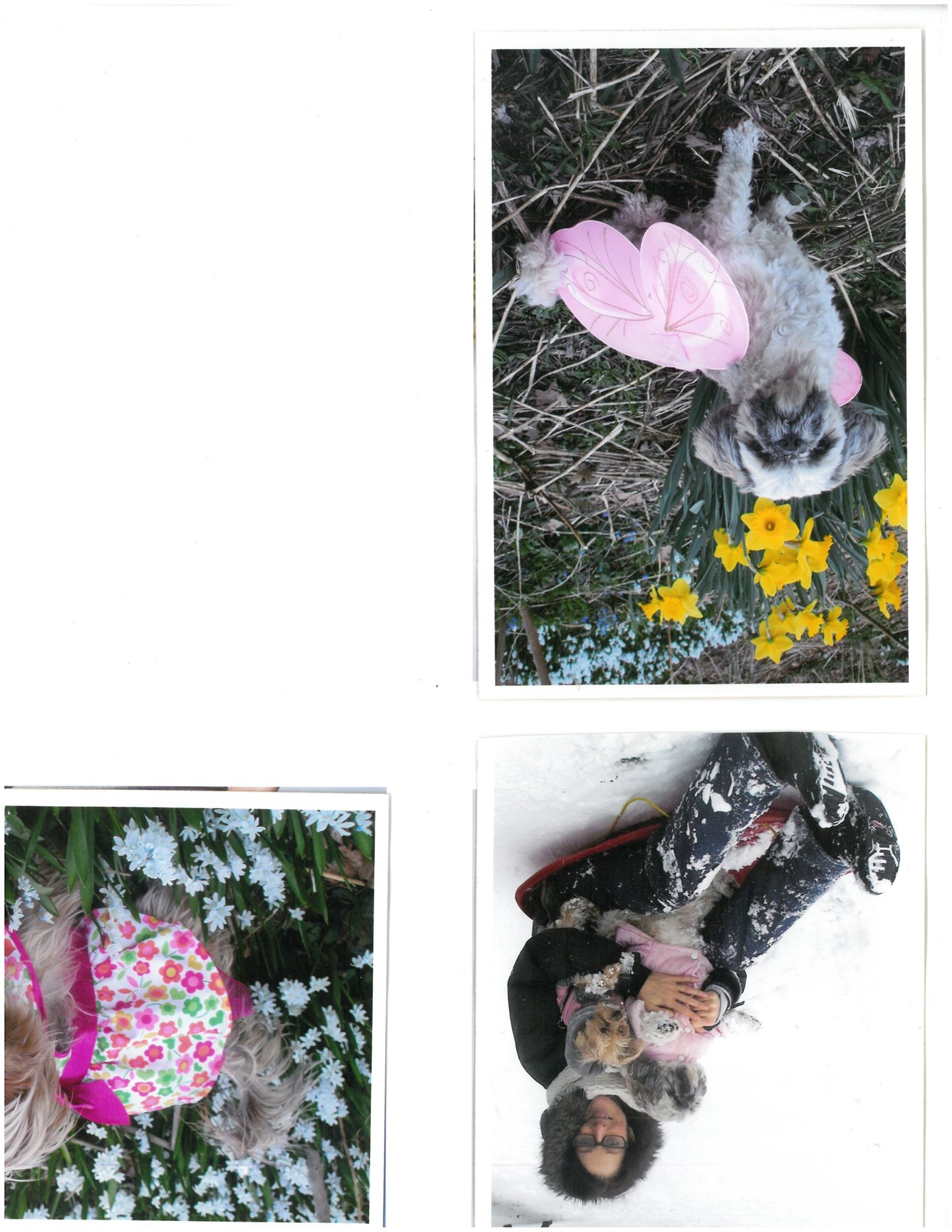 Obituary of Norma Elizabeth King