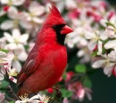 Obituary of Donald Eugene Painter