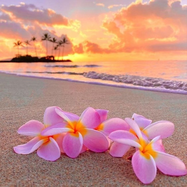 Obituary of Vicky Ann Stanley