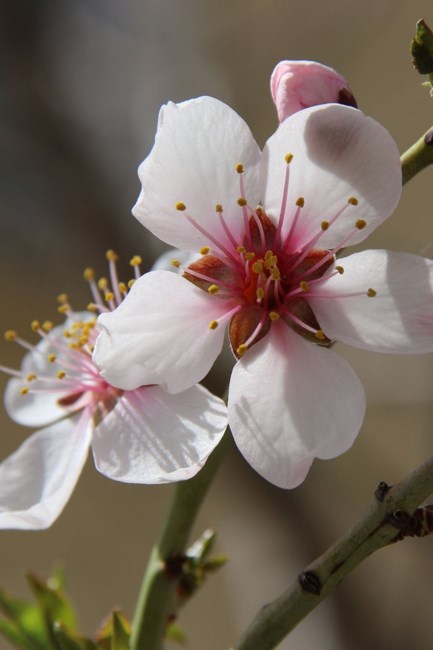 Obituary of Wong Sun Leung