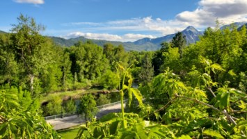 Obituary of Daniel Wallace Williams