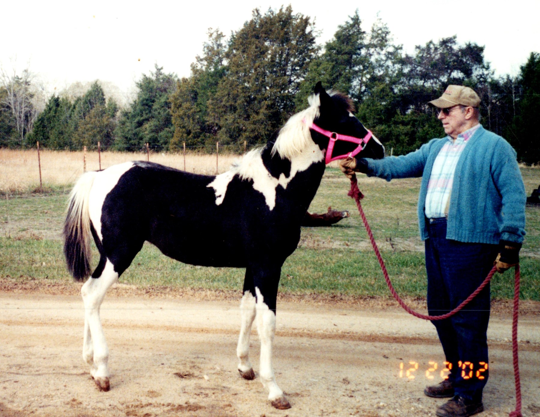 Obituary of Robert A Morris
