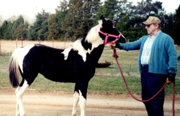 Obituary of Robert A Morris