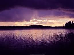 Obituary of Nancy C. Nannariello